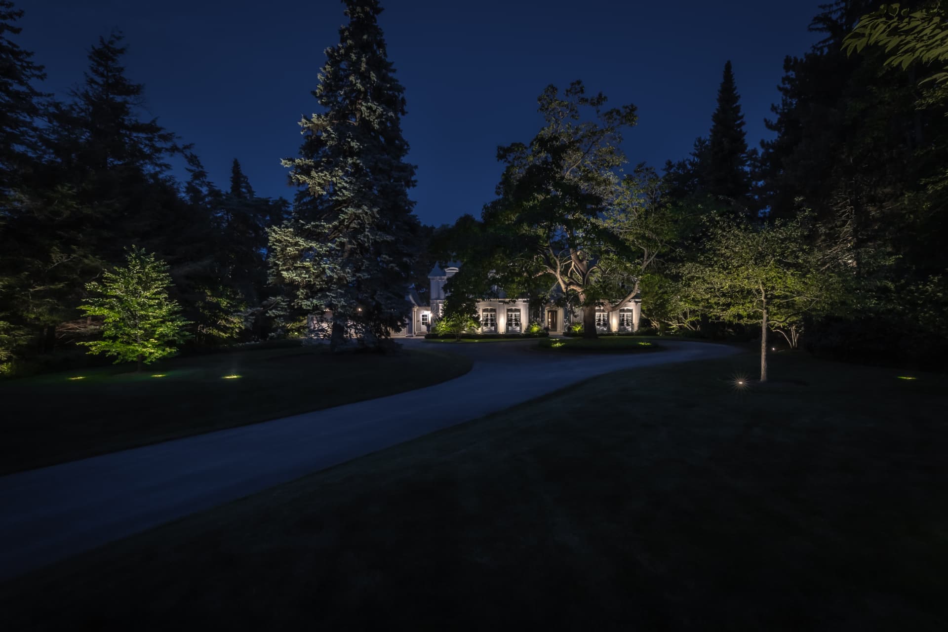 Lit driveway approach framed by uplit evergreens
